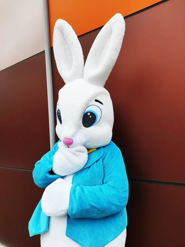Easter Bunny Mascot Costume, Adult Mascot Costume, Party Mascot Costume, Event Mascot Costume, Birthday Party Costume, Luxury Mascot Costume - Image 6