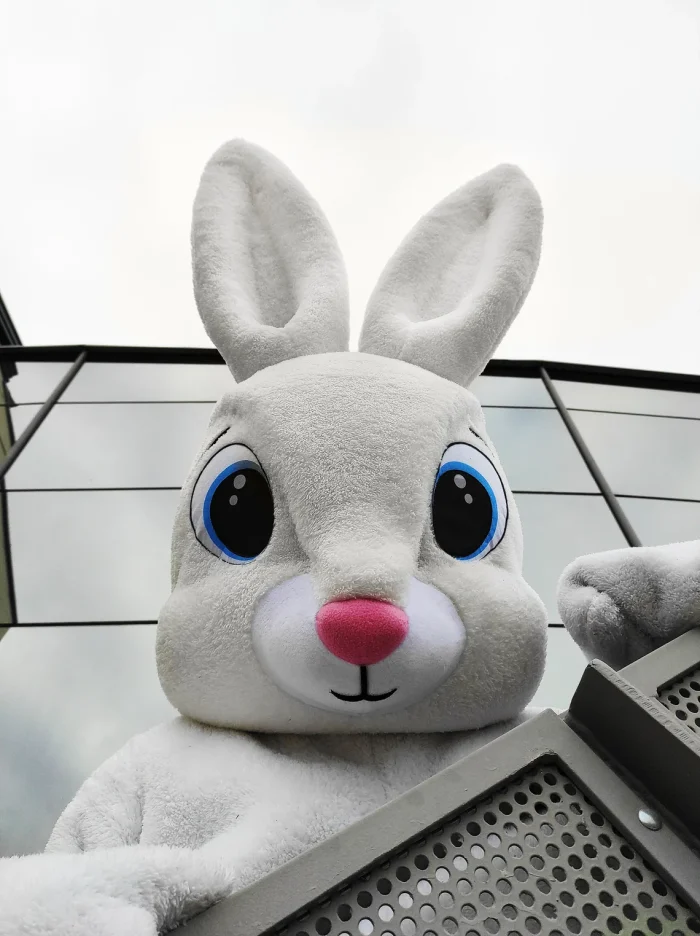 Easter Bunny Mascot Costume, Adult Mascot Costume, Party Mascot Costume, Event Mascot Costume, Birthday Party Costume, Luxury Mascot Costume - Image 7