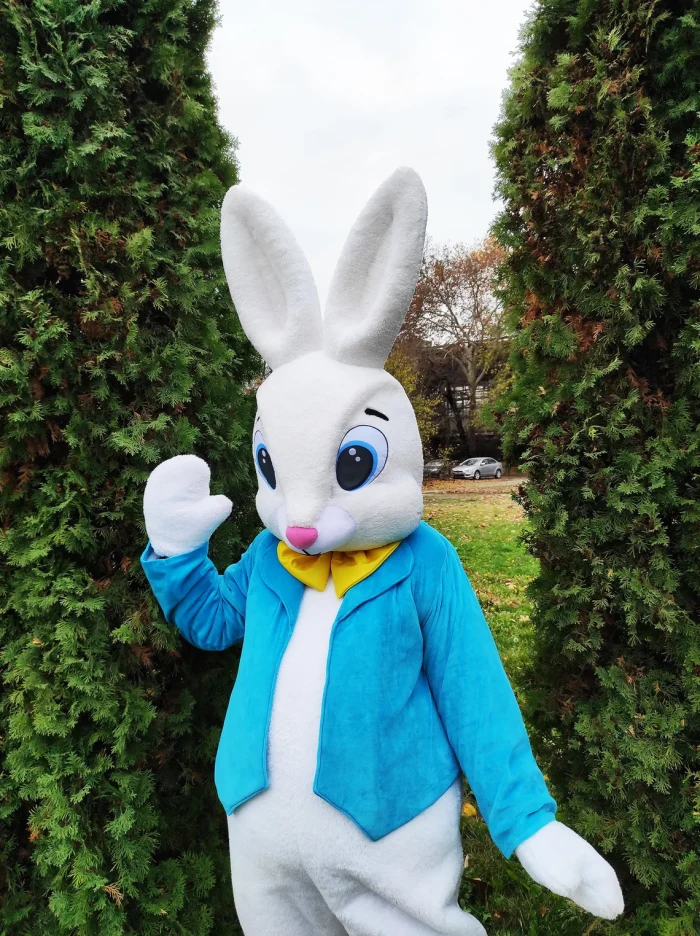 Easter Bunny Mascot Costume, Adult Mascot Costume, Party Mascot Costume, Event Mascot Costume, Birthday Party Costume, Luxury Mascot Costume - Image 5