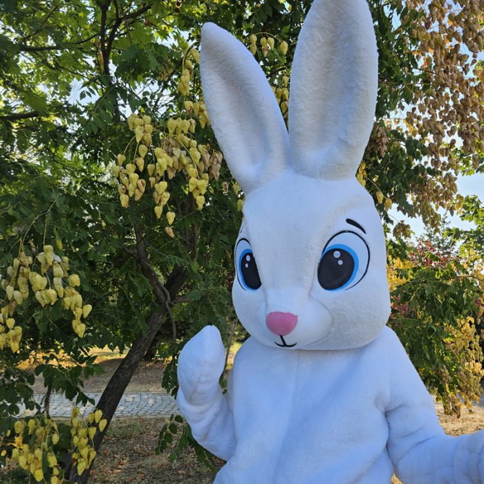 Easter Bunny Mascot Costume, Adult Mascot Costume, Party Mascot Costume, Event Mascot Costume, Birthday Party Costume, Luxury Mascot Costume - Image 6
