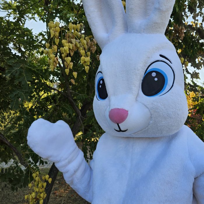 Easter Bunny Mascot Costume, Adult Mascot Costume, Party Mascot Costume, Event Mascot Costume, Birthday Party Costume, Luxury Mascot Costume - Image 2