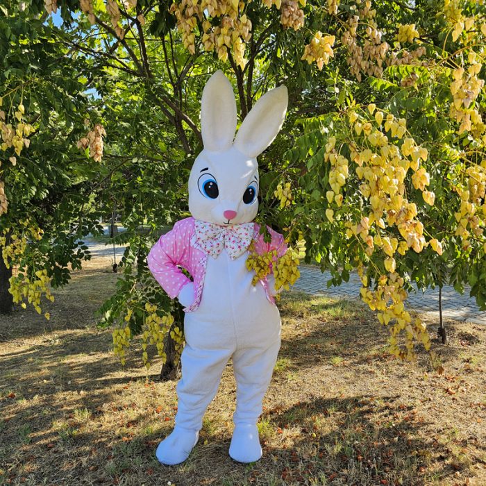 Easter Bunny Mascot Costume, Adult Mascot Costume, Party Mascot Costume, Event Mascot Costume, Birthday Party Costume, Luxury Mascot Costume - Image 4