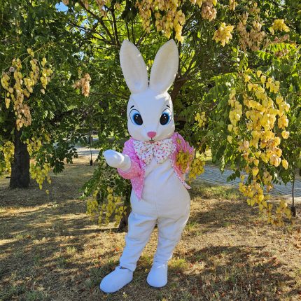 Easter Bunny Mascot Costume, Adult Mascot Costume, Party Mascot Costume, Event Mascot Costume, Birthday Party Costume, Luxury Mascot Costume