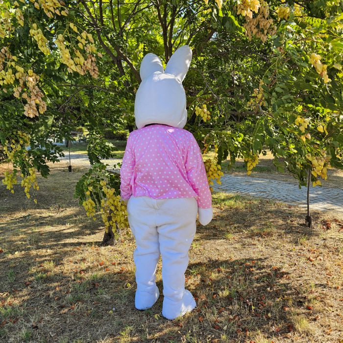 Easter Bunny Mascot Costume, Adult Mascot Costume, Party Mascot Costume, Event Mascot Costume, Birthday Party Costume, Luxury Mascot Costume - Image 5
