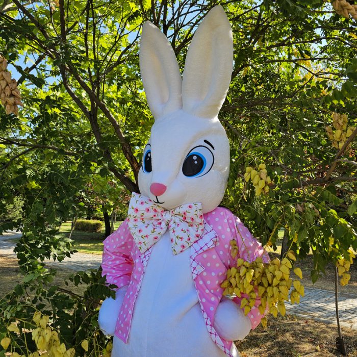 Easter Bunny Mascot Costume, Adult Mascot Costume, Party Mascot Costume, Event Mascot Costume, Birthday Party Costume, Luxury Mascot Costume - Image 3