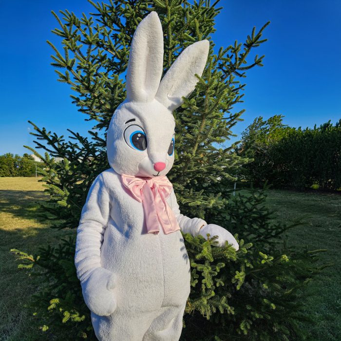 Easter Bunny Mascot Costume, Adult Mascot Costume, Party Mascot Costume, Event Mascot Costume, Birthday Party Costume, Luxury Mascot Costume - Image 2