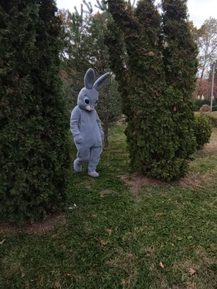 Bunny Mascot Costume, Adult Mascot Costume, Party Mascot Costume, Event Mascot Costume, Birthday Party Costume, Luxury Mascot Costume - Image 6
