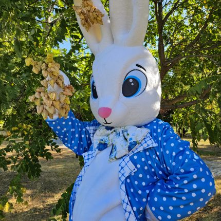 Easter Bunny Mascot Costume, Adult Mascot Costume, Party Mascot Costume, Event Mascot Costume, Birthday Party Costume, Luxury Mascot Costume