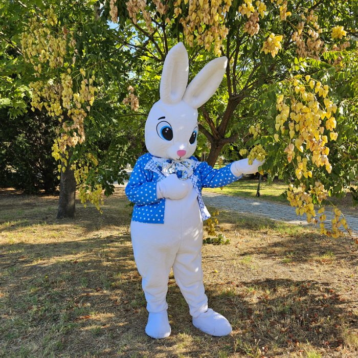 Easter Bunny Mascot Costume, Adult Mascot Costume, Party Mascot Costume, Event Mascot Costume, Birthday Party Costume, Luxury Mascot Costume - Image 3