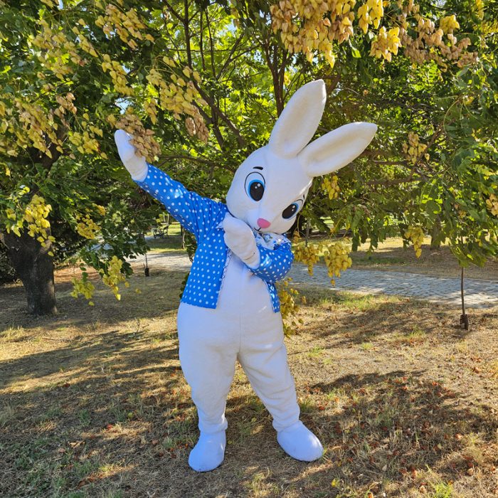Easter Bunny Mascot Costume, Adult Mascot Costume, Party Mascot Costume, Event Mascot Costume, Birthday Party Costume, Luxury Mascot Costume - Image 4