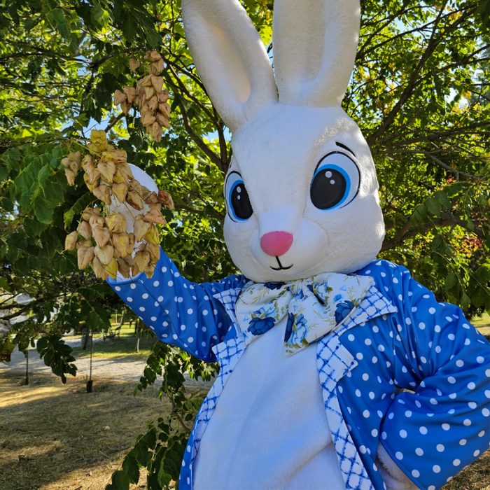 Easter Bunny Mascot Costume, Adult Mascot Costume, Party Mascot Costume, Event Mascot Costume, Birthday Party Costume, Luxury Mascot Costume - Image 2