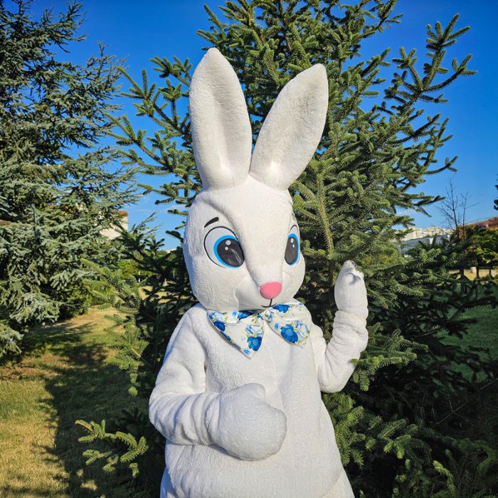 Easter Bunny Mascot Costume, Adult Mascot Costume, Party Mascot Costume, Event Mascot Costume, Birthday Party Costume, Luxury Mascot Costume - Image 2