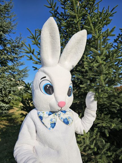 Easter Bunny Mascot Costume, Adult Mascot Costume, Party Mascot Costume, Event Mascot Costume, Birthday Party Costume, Luxury Mascot Costume