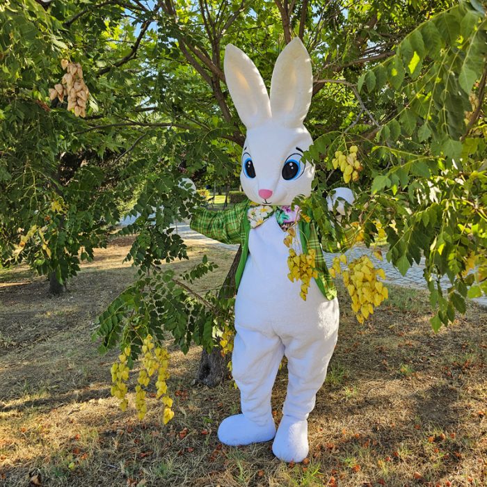 Easter Bunny Mascot Costume, Adult Mascot Costume, Party Mascot Costume, Event Mascot Costume, Birthday Party Costume, Luxury Mascot Costume - Image 5