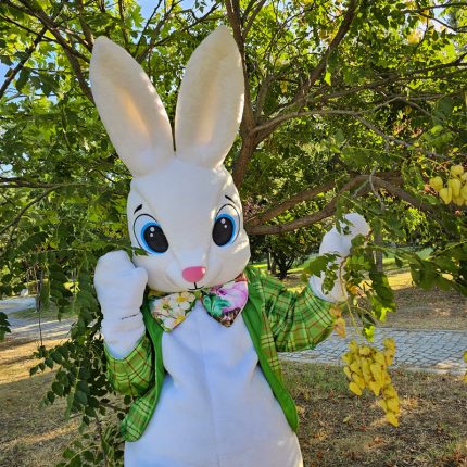 Easter Bunny Mascot Costume, Adult Mascot Costume, Party Mascot Costume, Event Mascot Costume, Birthday Party Costume, Luxury Mascot Costume