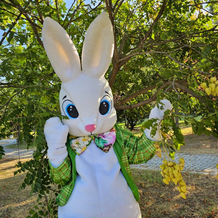 Easter Bunny Mascot Costume, Adult Mascot Costume, Party Mascot Costume, Event Mascot Costume, Birthday Party Costume, Luxury Mascot Costume - Image 1