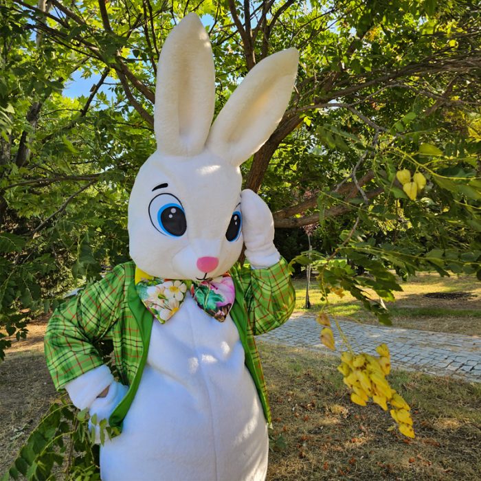 Easter Bunny Mascot Costume, Adult Mascot Costume, Party Mascot Costume, Event Mascot Costume, Birthday Party Costume, Luxury Mascot Costume - Image 4