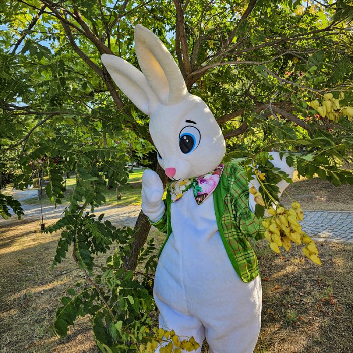 Easter Bunny Mascot Costume, Adult Mascot Costume, Party Mascot Costume, Event Mascot Costume, Birthday Party Costume, Luxury Mascot Costume - Image 3