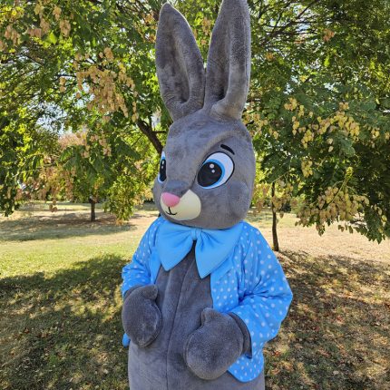 Easter Bunny Mascot Costume, Adult Mascot Costume, Party Mascot Costume, Event Mascot Costume, Birthday Party Costume, Luxury Mascot Costume