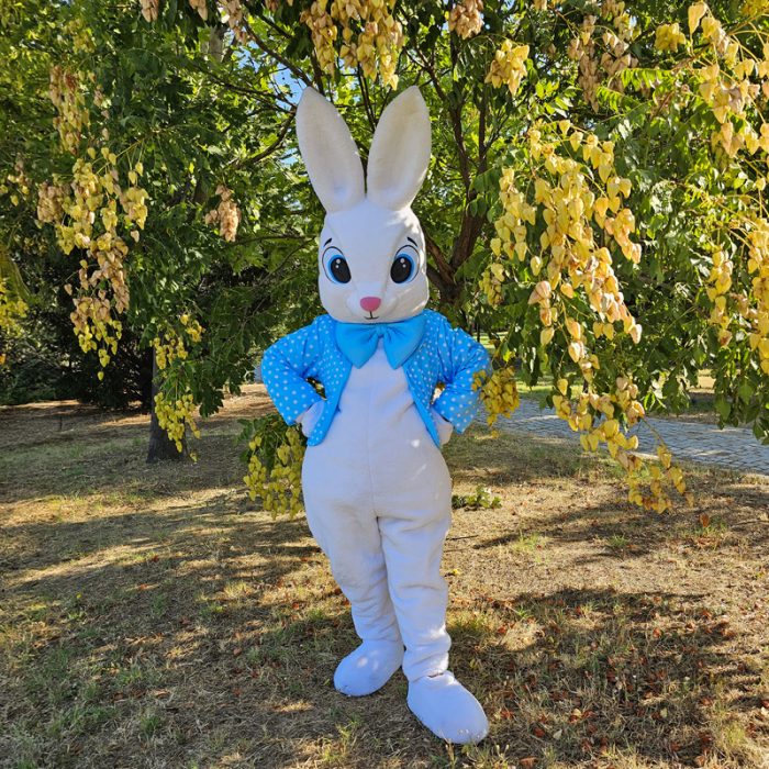Easter Bunny Mascot Costume, Adult Mascot Costume, Party Mascot Costume, Event Mascot Costume, Birthday Party Costume, Luxury Mascot Costume - Image 2