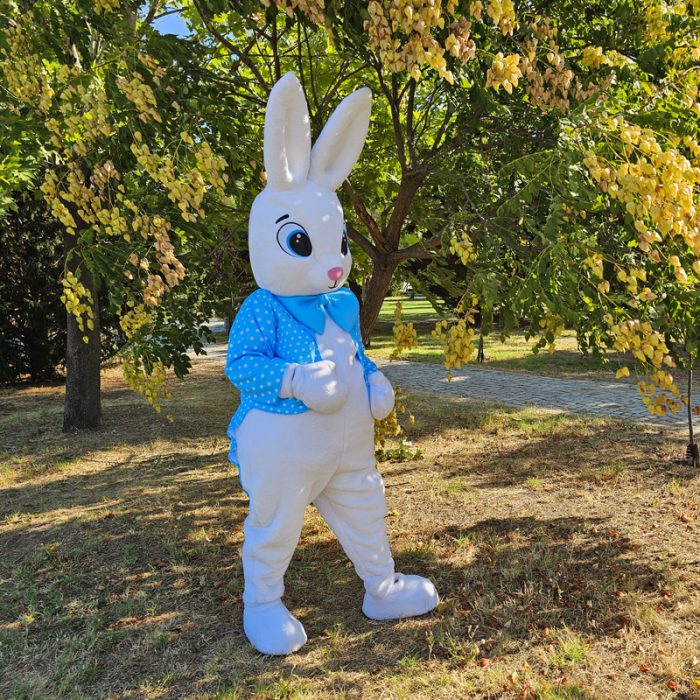 Easter Bunny Mascot Costume, Adult Mascot Costume, Party Mascot Costume, Event Mascot Costume, Birthday Party Costume, Luxury Mascot Costume - Image 4