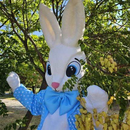 Easter Bunny Mascot Costume, Adult Mascot Costume, Party Mascot Costume, Event Mascot Costume, Birthday Party Costume, Luxury Mascot Costume