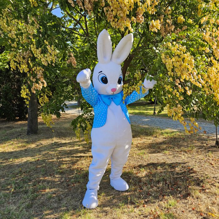 Easter Bunny Mascot Costume, Adult Mascot Costume, Party Mascot Costume, Event Mascot Costume, Birthday Party Costume, Luxury Mascot Costume - Image 5