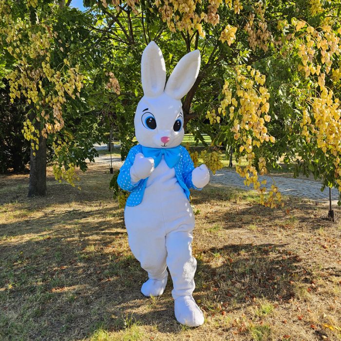Easter Bunny Mascot Costume, Adult Mascot Costume, Party Mascot Costume, Event Mascot Costume, Birthday Party Costume, Luxury Mascot Costume - Image 3