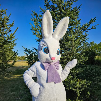 Easter Bunny Mascot Costume, Adult Mascot Costume, Party Mascot Costume, Event Mascot Costume, Birthday Party Costume, Luxury Mascot Costume