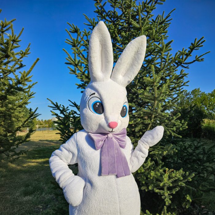 Easter Bunny Mascot Costume, Adult Mascot Costume, Party Mascot Costume, Event Mascot Costume, Birthday Party Costume, Luxury Mascot Costume - Image 1
