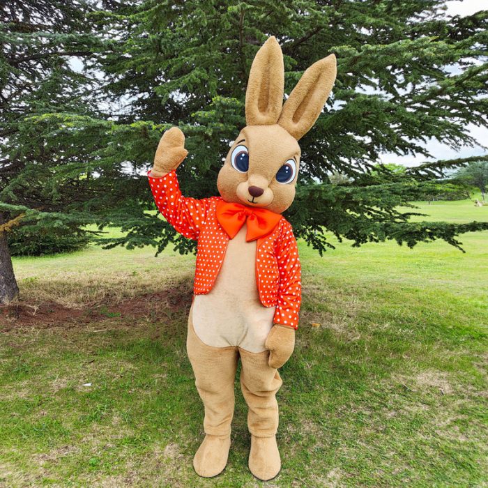 Bunny Mascot Costume, Adult Mascot Costume, Party Mascot Costume, Event Mascot Costume, Birthday Party Costume, Luxury Mascot Costume - Image 4