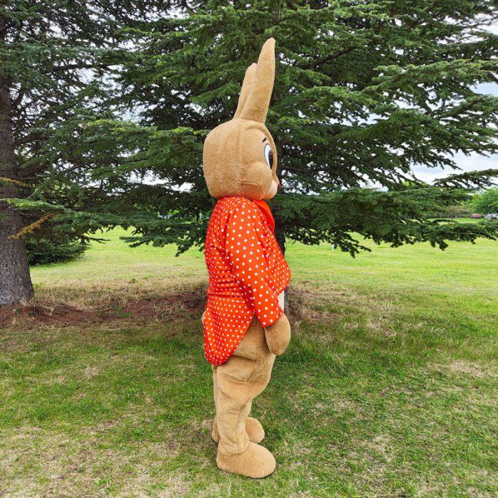 Bunny Mascot Costume, Adult Mascot Costume, Party Mascot Costume, Event Mascot Costume, Birthday Party Costume, Luxury Mascot Costume - Image 5