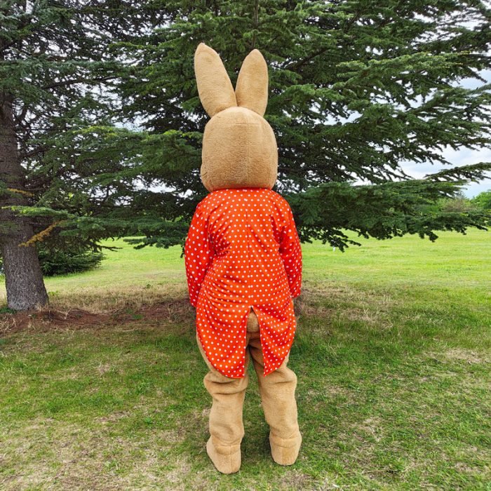 Bunny Mascot Costume, Adult Mascot Costume, Party Mascot Costume, Event Mascot Costume, Birthday Party Costume, Luxury Mascot Costume - Image 6