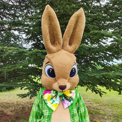 Bunny Mascot Costume, Adult Mascot Costume, Party Mascot Costume, Event Mascot Costume, Birthday Party Costume, Luxury Mascot Costume