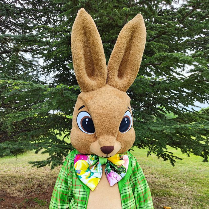 Bunny Mascot Costume, Adult Mascot Costume, Party Mascot Costume, Event Mascot Costume, Birthday Party Costume, Luxury Mascot Costume - Image 1