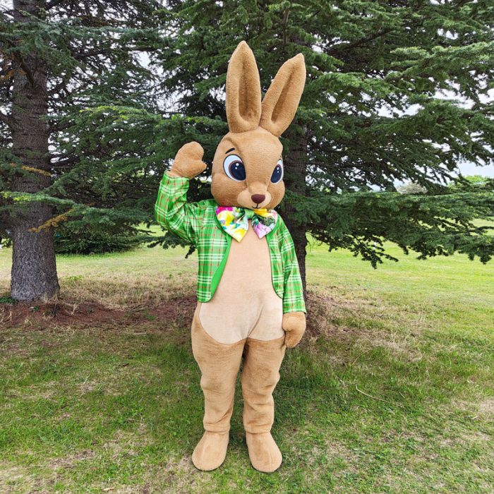 Bunny Mascot Costume, Adult Mascot Costume, Party Mascot Costume, Event Mascot Costume, Birthday Party Costume, Luxury Mascot Costume - Image 2