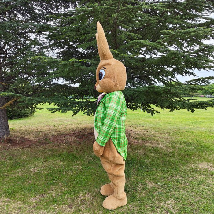 Bunny Mascot Costume, Adult Mascot Costume, Party Mascot Costume, Event Mascot Costume, Birthday Party Costume, Luxury Mascot Costume - Image 3