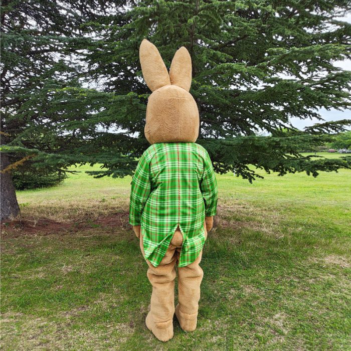 Bunny Mascot Costume, Adult Mascot Costume, Party Mascot Costume, Event Mascot Costume, Birthday Party Costume, Luxury Mascot Costume - Image 4