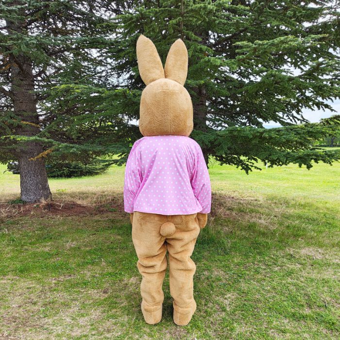 Bunny Mascot Costume, Adult Mascot Costume, Party Mascot Costume, Event Mascot Costume, Birthday Party Costume, Luxury Mascot Costume - Image 2
