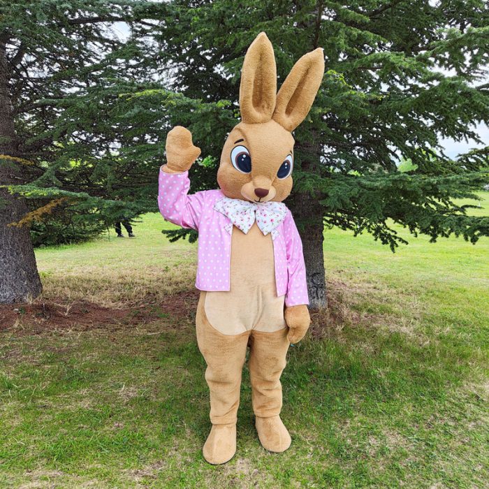 Bunny Mascot Costume, Adult Mascot Costume, Party Mascot Costume, Event Mascot Costume, Birthday Party Costume, Luxury Mascot Costume - Image 3