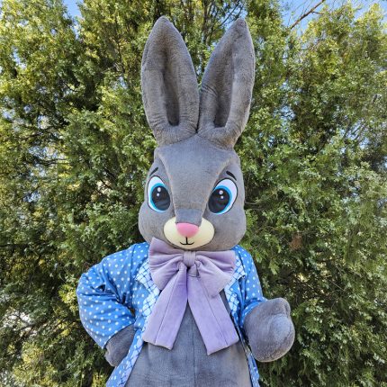 Easter Bunny Mascot Costume, Adult Mascot Costume, Party Mascot Costume, Event Mascot Costume, Birthday Party Costume, Luxury Mascot Costume