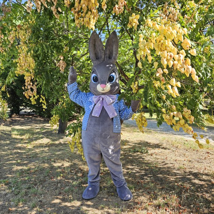 Easter Bunny Mascot Costume, Adult Mascot Costume, Party Mascot Costume, Event Mascot Costume, Birthday Party Costume, Luxury Mascot Costume - Image 9