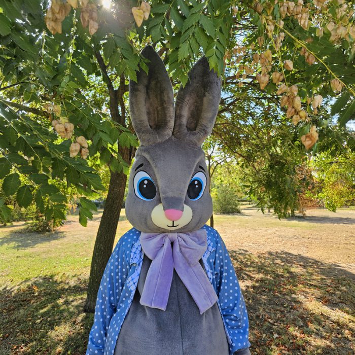 Easter Bunny Mascot Costume, Adult Mascot Costume, Party Mascot Costume, Event Mascot Costume, Birthday Party Costume, Luxury Mascot Costume - Image 2
