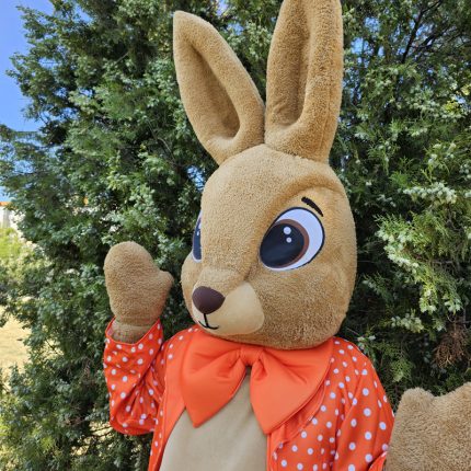 Easter Bunny Mascot Costume, Adult Mascot Costume, Party Mascot Costume, Event Mascot Costume, Birthday Party Costume, Luxury Mascot Costume