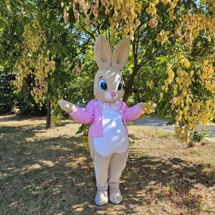 Easter Bunny Mascot Costume, Adult Mascot Costume, Party Mascot Costume, Event Mascot Costume, Birthday Party Costume, Luxury Mascot Costume - Image 3