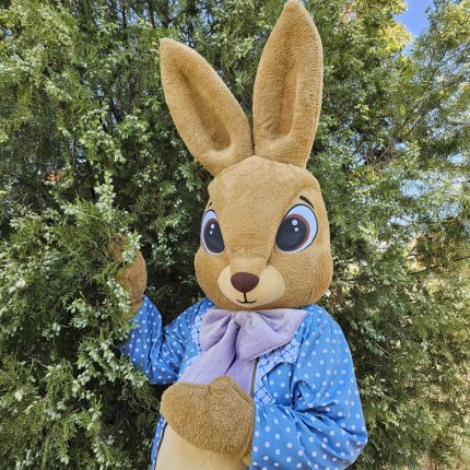 Easter Bunny Mascot Costume, Adult Mascot Costume, Party Mascot Costume, Event Mascot Costume, Birthday Party Costume, Luxury Mascot Costume
