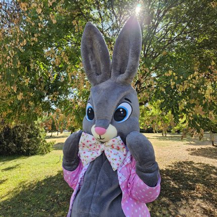 Easter Bunny Mascot Costume, Adult Mascot Costume, Party Mascot Costume, Event Mascot Costume, Birthday Party Costume, Luxury Mascot Costume
