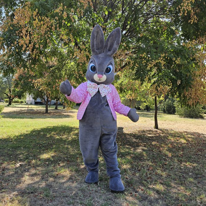 Easter Bunny Mascot Costume, Adult Mascot Costume, Party Mascot Costume, Event Mascot Costume, Birthday Party Costume, Luxury Mascot Costume - Image 4