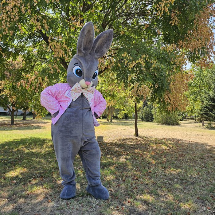 Easter Bunny Mascot Costume, Adult Mascot Costume, Party Mascot Costume, Event Mascot Costume, Birthday Party Costume, Luxury Mascot Costume - Image 3