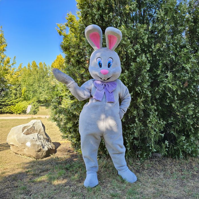 Easter Bunny Mascot Costume, Adult Mascot Costume, Party Mascot Costume, Event Mascot Costume, Birthday Party Costume, Luxury Mascot Costume - Image 4